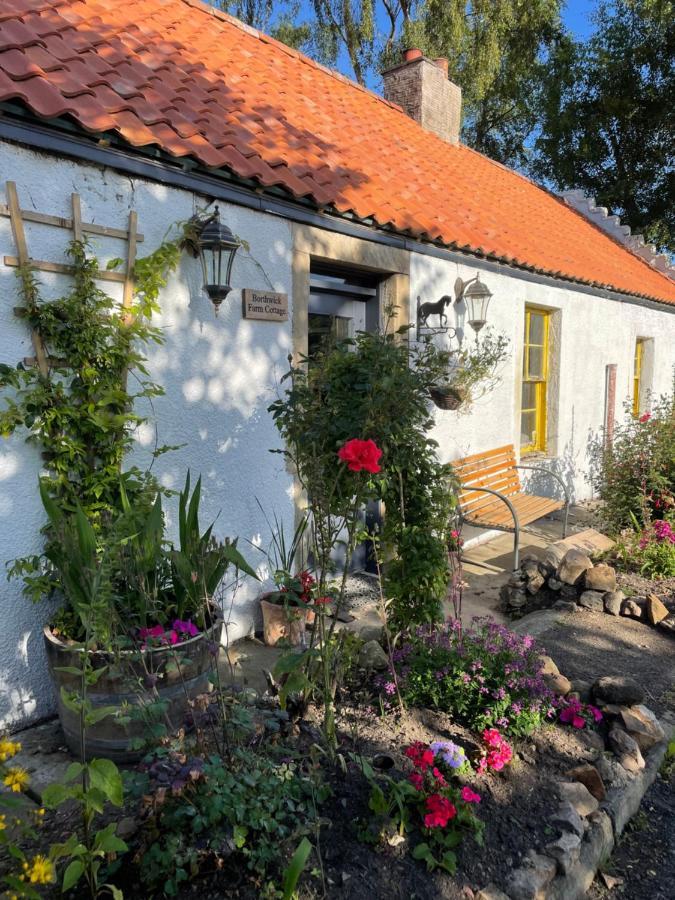 Borthwick Farm Cottage Annex 戈尔布里奇 外观 照片