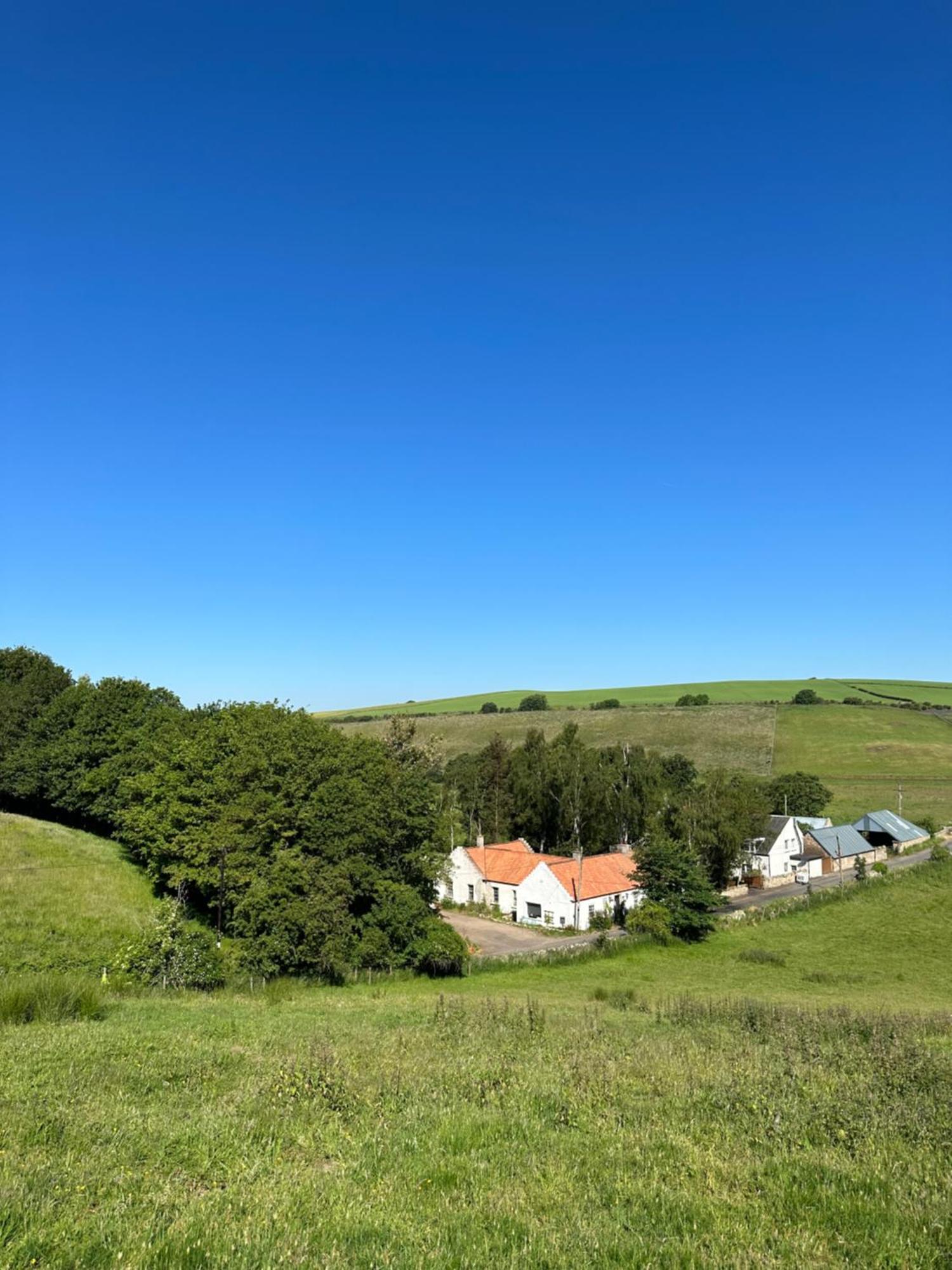 Borthwick Farm Cottage Annex 戈尔布里奇 外观 照片